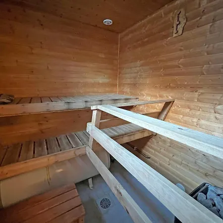 Ferienhaus Riihilampi *