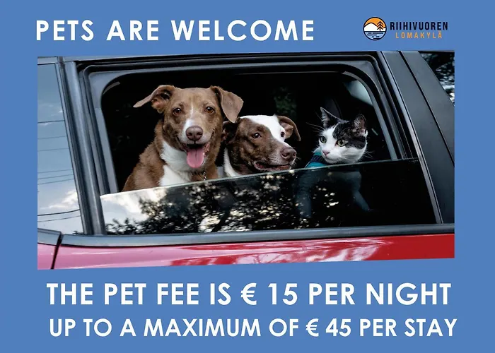 Riihilampi * Muurame